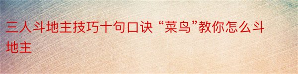 三人斗地主技巧十句口诀 “菜鸟”教你怎么斗地主