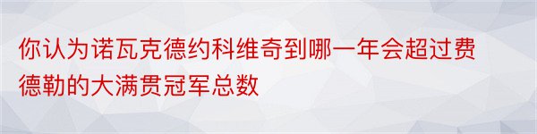 你认为诺瓦克德约科维奇到哪一年会超过费德勒的大满贯冠军总数