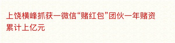 上饶横峰抓获一微信“赌红包”团伙一年赌资累计上亿元