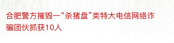 合肥警方摧毁一“杀猪盘”类特大电信网络诈骗团伙抓获10人