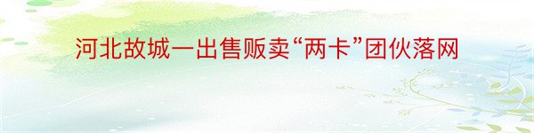 河北故城一出售贩卖“两卡”团伙落网