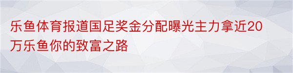 乐鱼体育报道国足奖金分配曝光主力拿近20万乐鱼你的致富之路