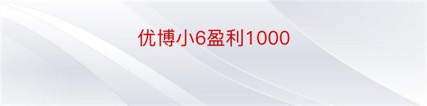 优博小6盈利1000